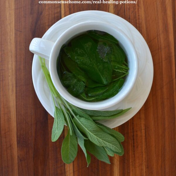 simple herbal infusion