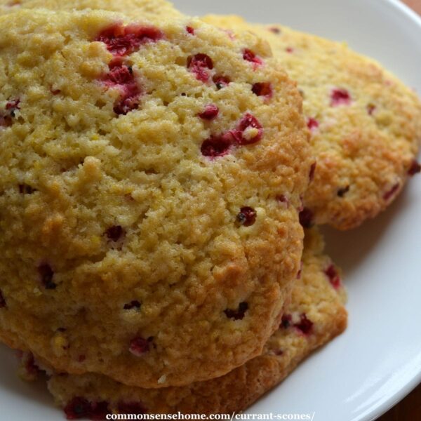 currant scones with fresh currants