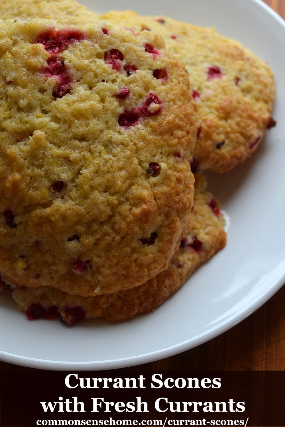 currant scones with fresh currants