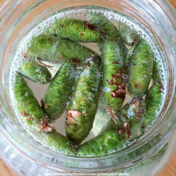 top down view of pinecones in sugar water