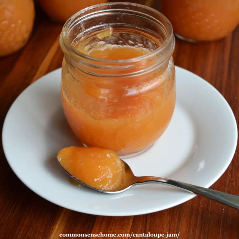 Cantaloupe Jam with Vanilla Extract