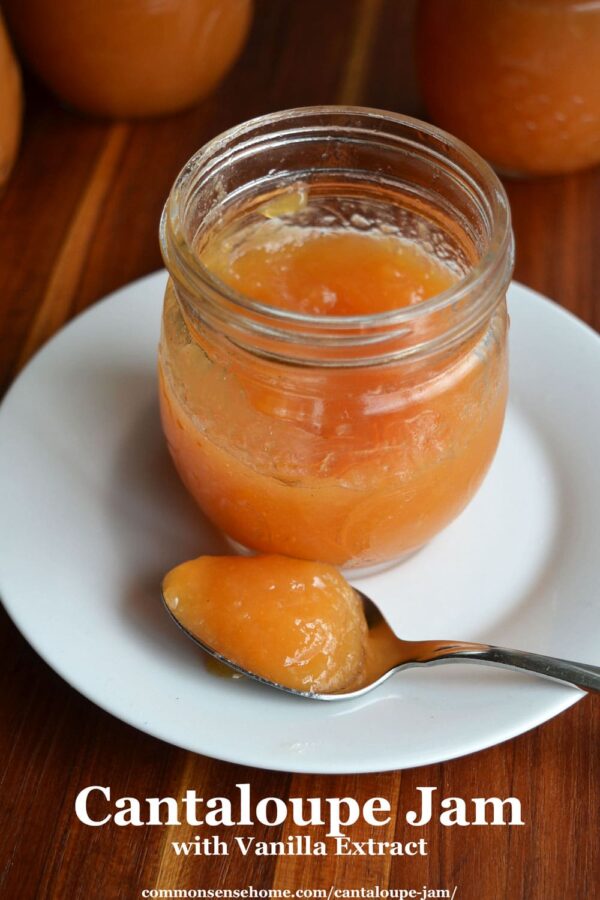 Cantaloupe Jam with Vanilla Extract