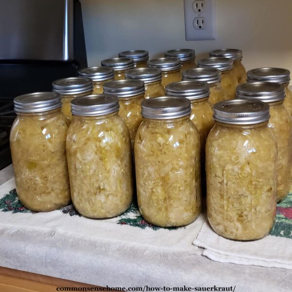 home canned sauerkraut