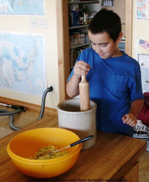 packing sauerkraut in crock