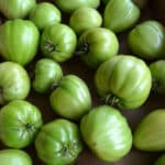 The Easy Way to Ripen Green Tomatoes