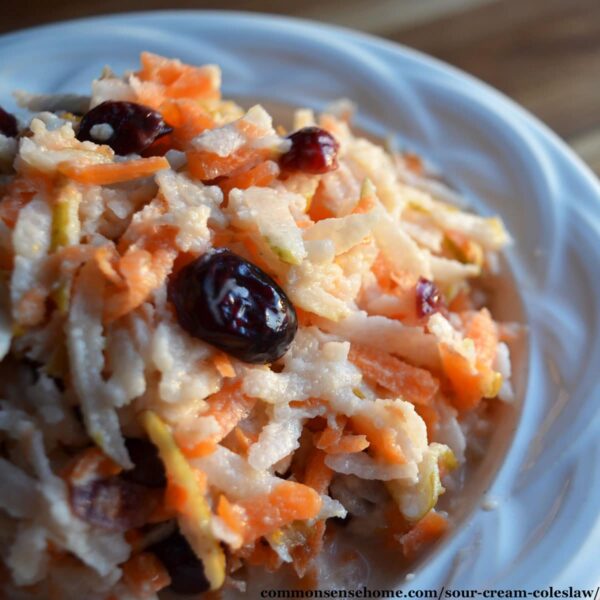 homemade coleslaw with dried cranberries