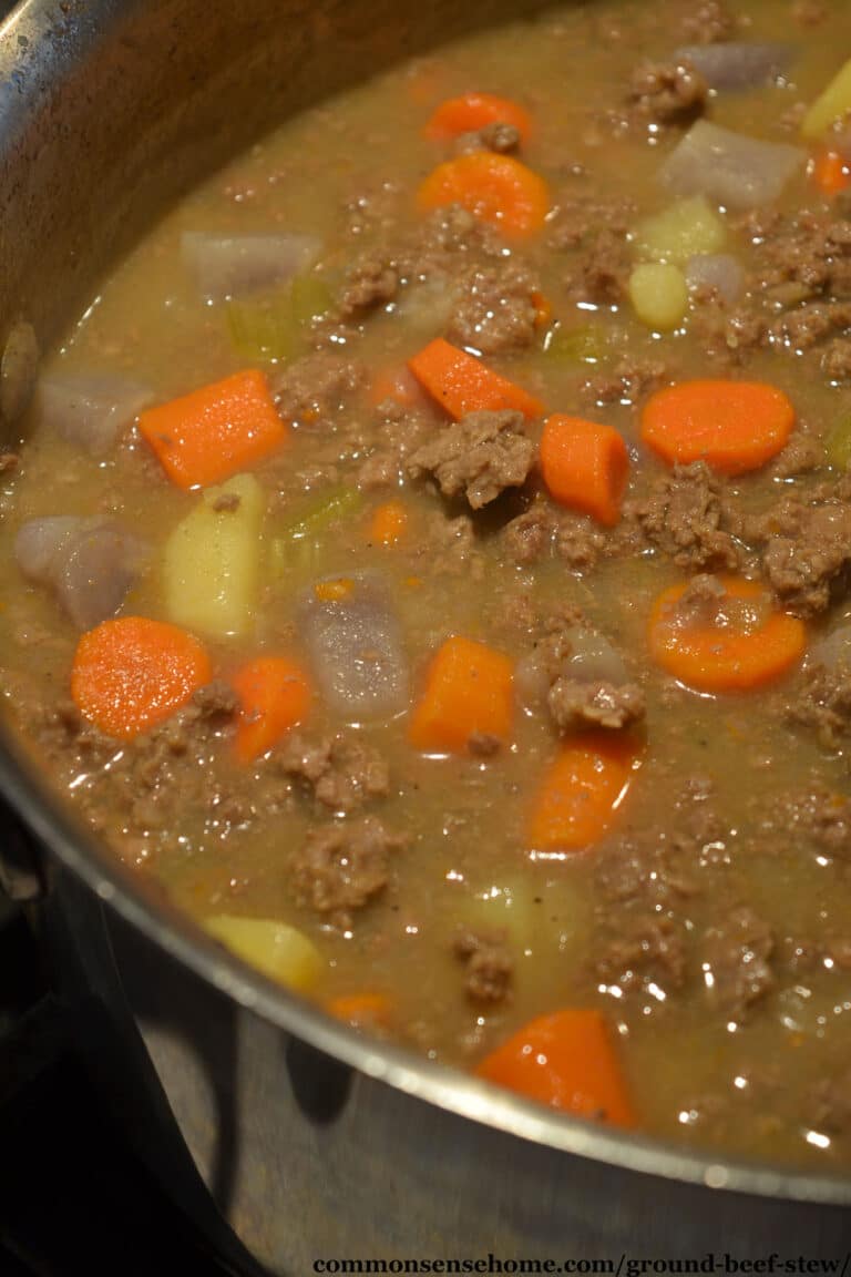 Hearty Ground Beef Stew (Quick to Cook, Budget Friendly)