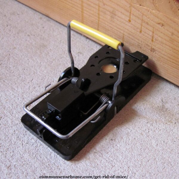 Kness Little Snap-E Mouse Trap