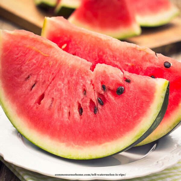 ripe watermelon slices on plate