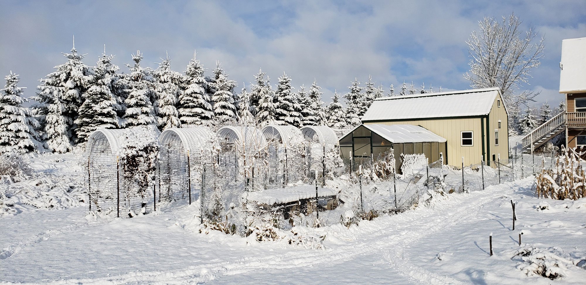 snow covered greenhouse