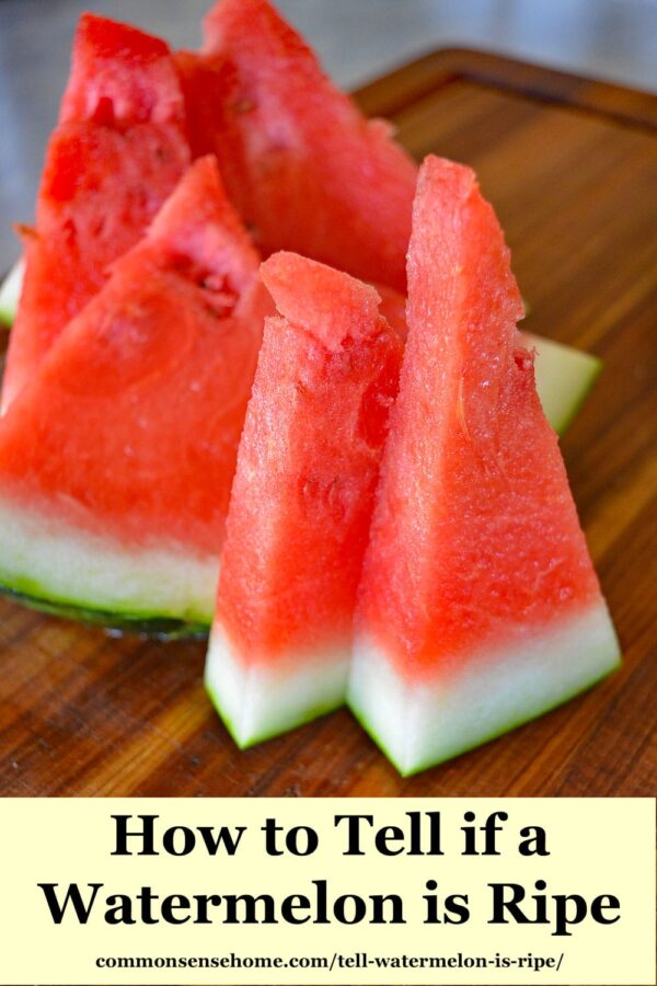 slices of ripe watermelon