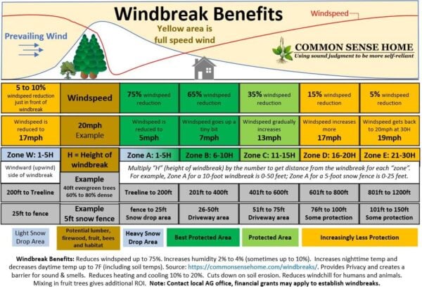 Windbreak Design Maximize Your Land S Potential