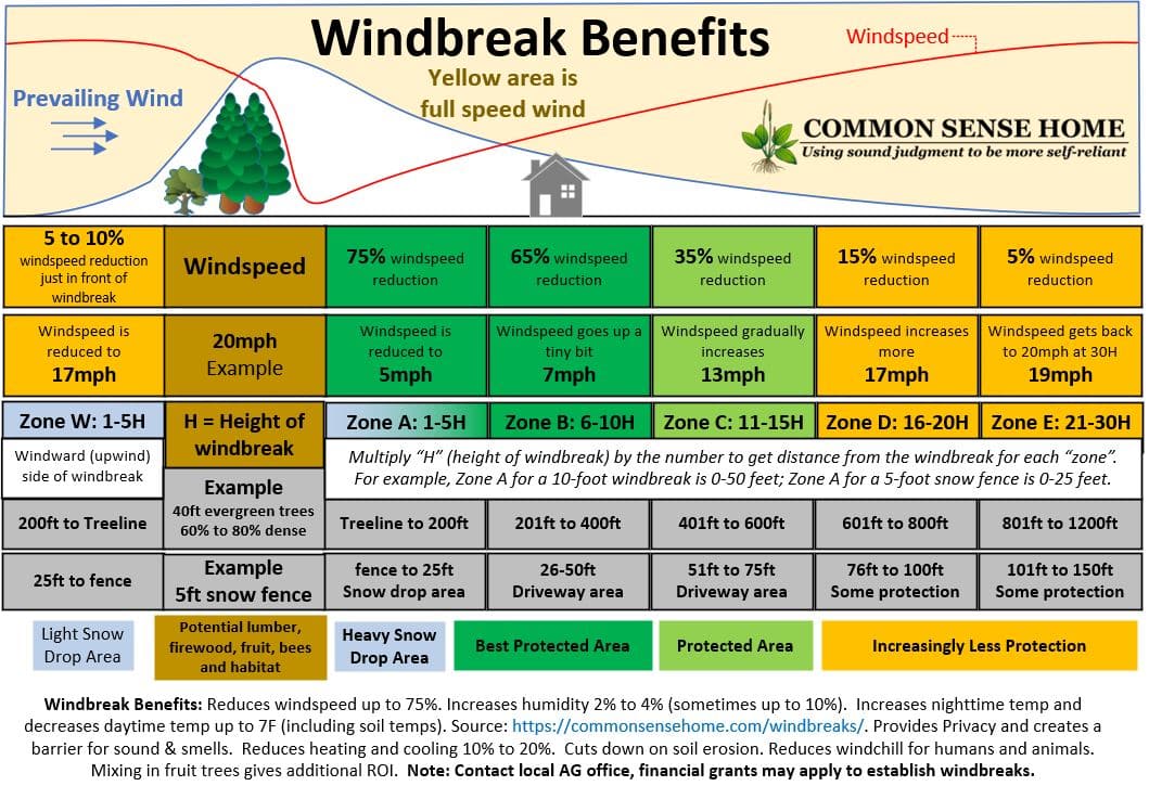 Windbreaks You'll be Amazed at What They Can Do