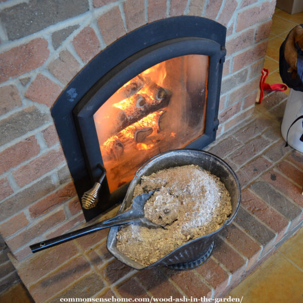 ash bin in front of masonry stove