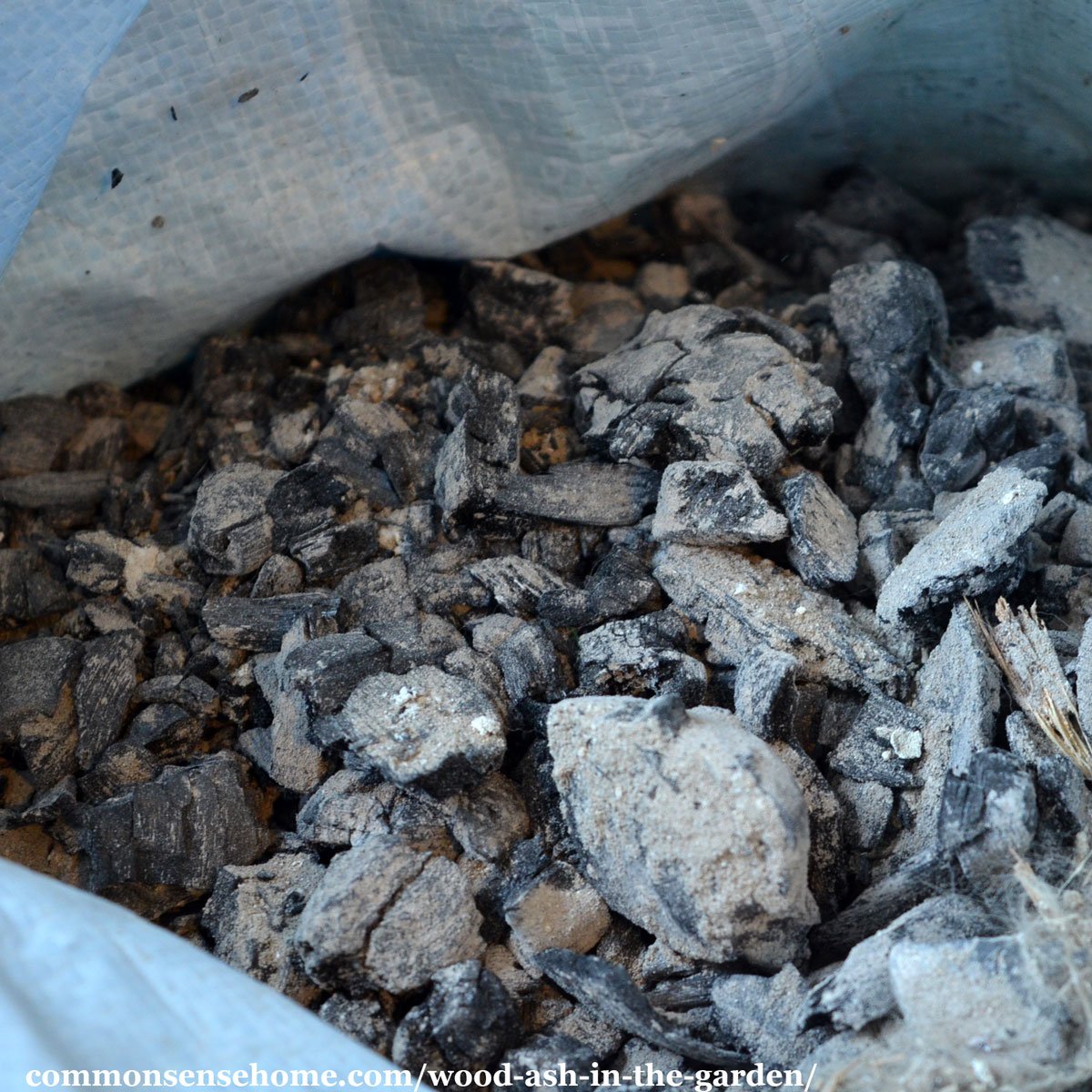 charcoal chunks