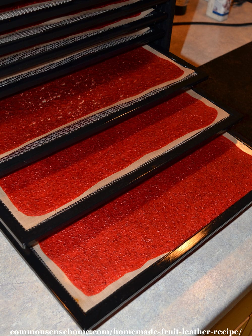 finished strawberry fruit leather