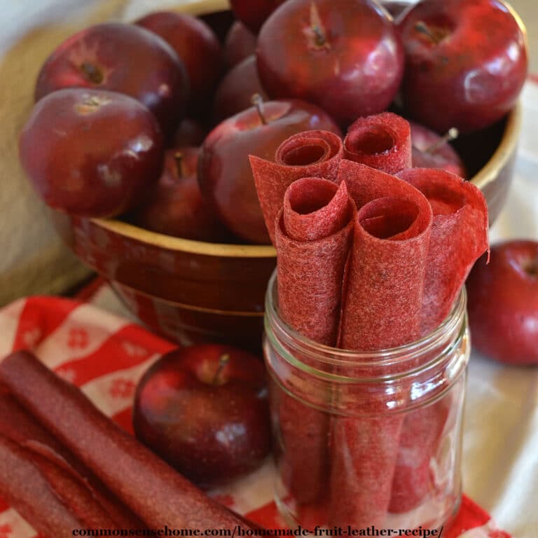 Homemade Fruit Leather Recipe (With Money Saving Tips!)