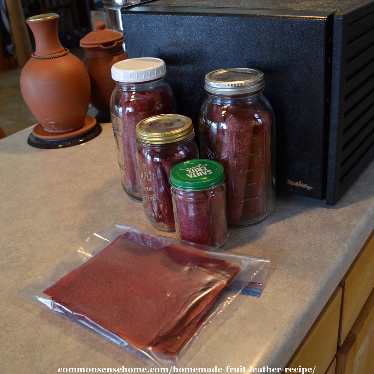 fruit leather storage