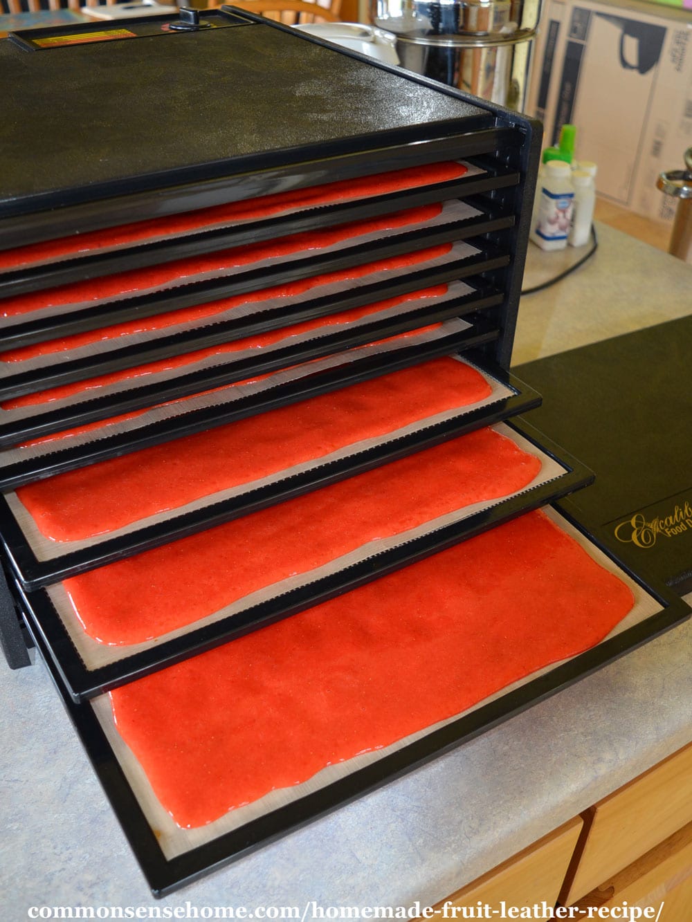 loading fruit puree into dehydrator