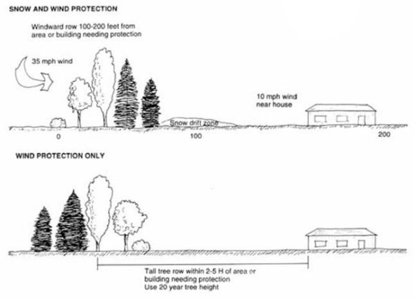snow and wind protection shelterbelt diagram