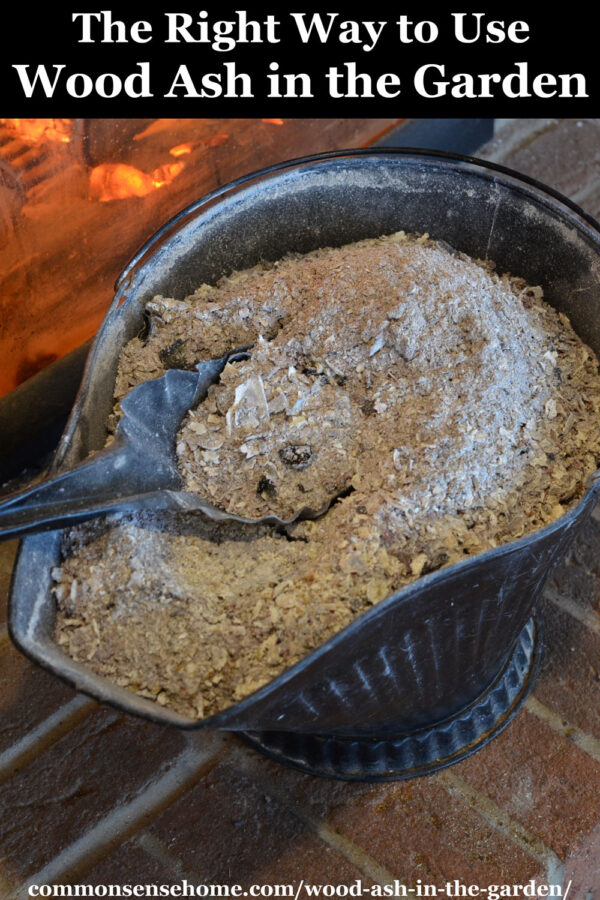 The Right Way to Use Wood Ash in the Garden