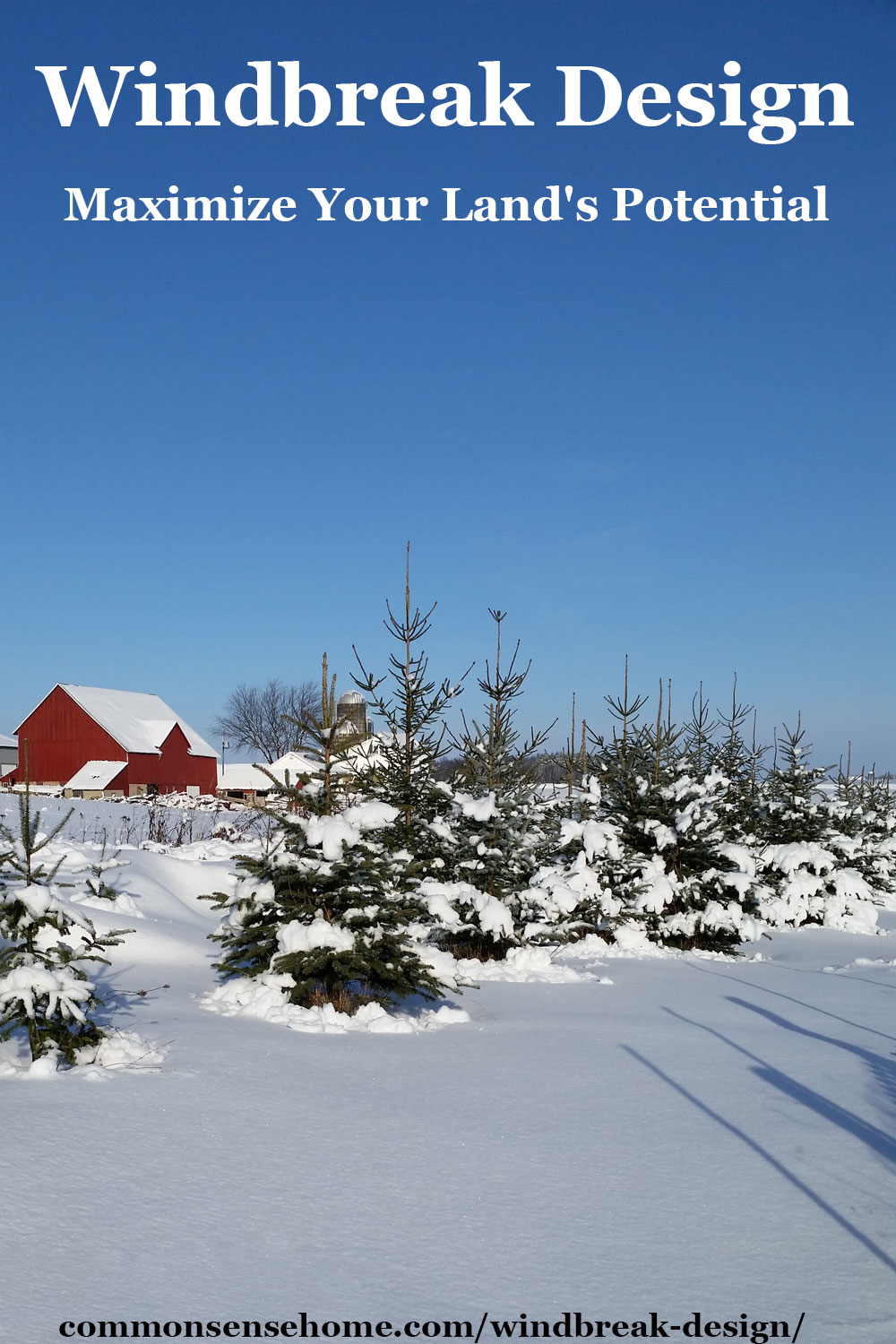 text "Windbreak Design: Maximize Your Land's Potential" with evergreen windbreak in snow with red barn in background