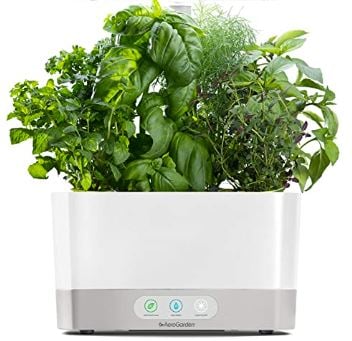 AeroGarden Harvest with Gourmet Herb Seed Pod Kit - Hydroponic Indoor Garden,