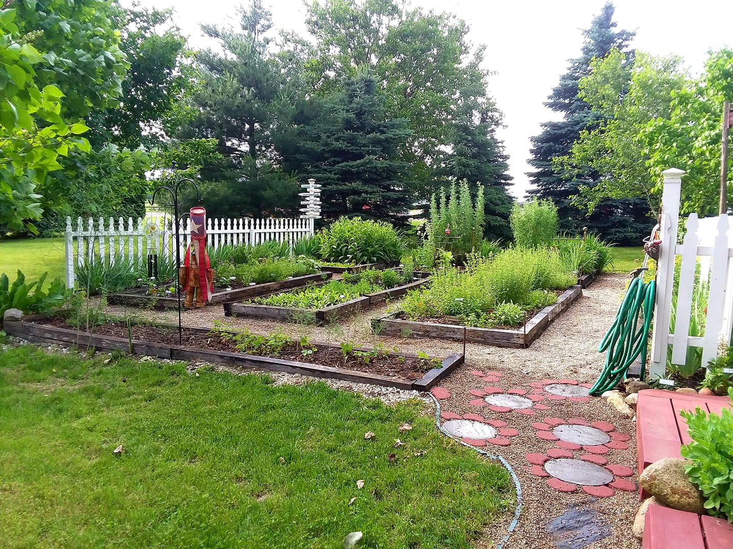 raised bed herb garden