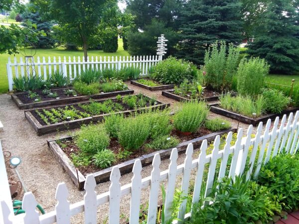 raised bed herb gardens