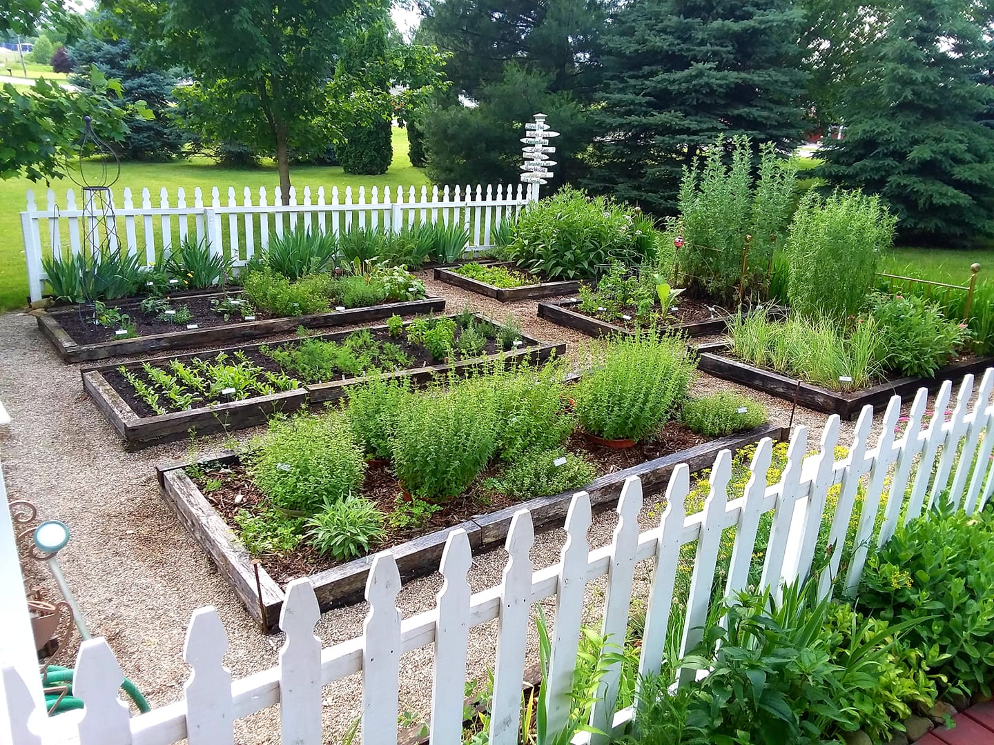 raised bed herb gardens