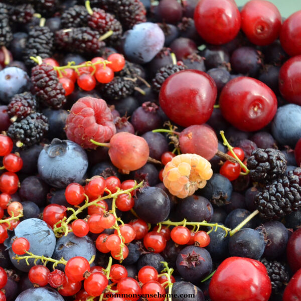 mix of berries and cherries