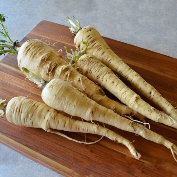 fresh parsnips on cutting board