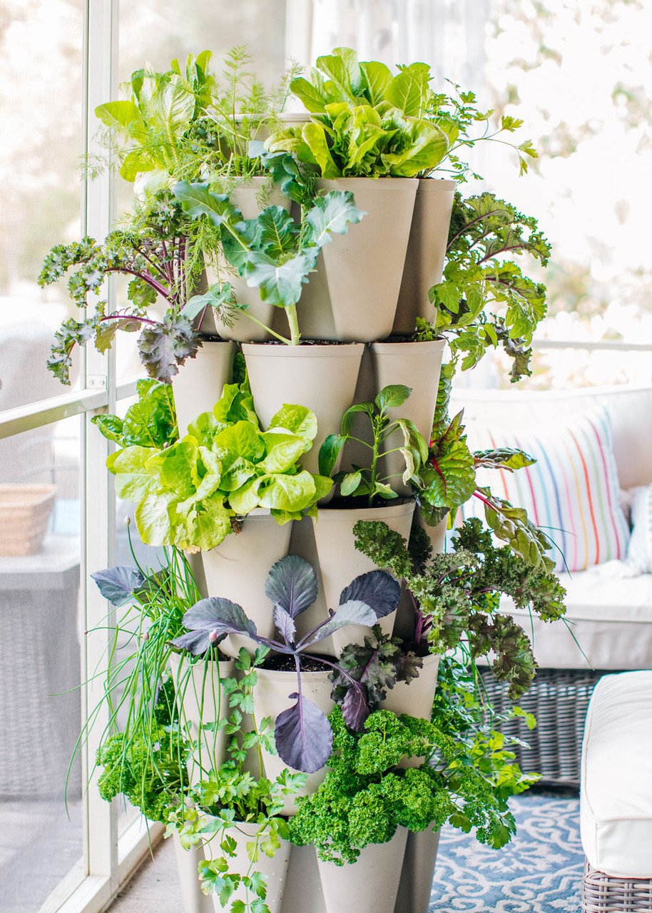 Greenstalk vertical garden with herbs and greens