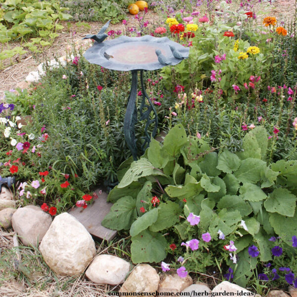herb and flower garden with bird bath