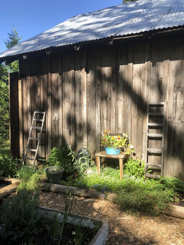 herb garden near building