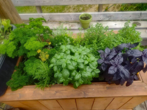 Herb planter box on deck