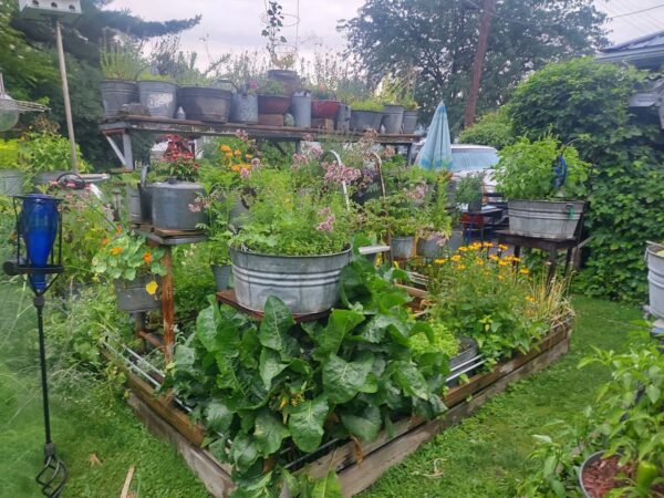 vertical herb garden with containers