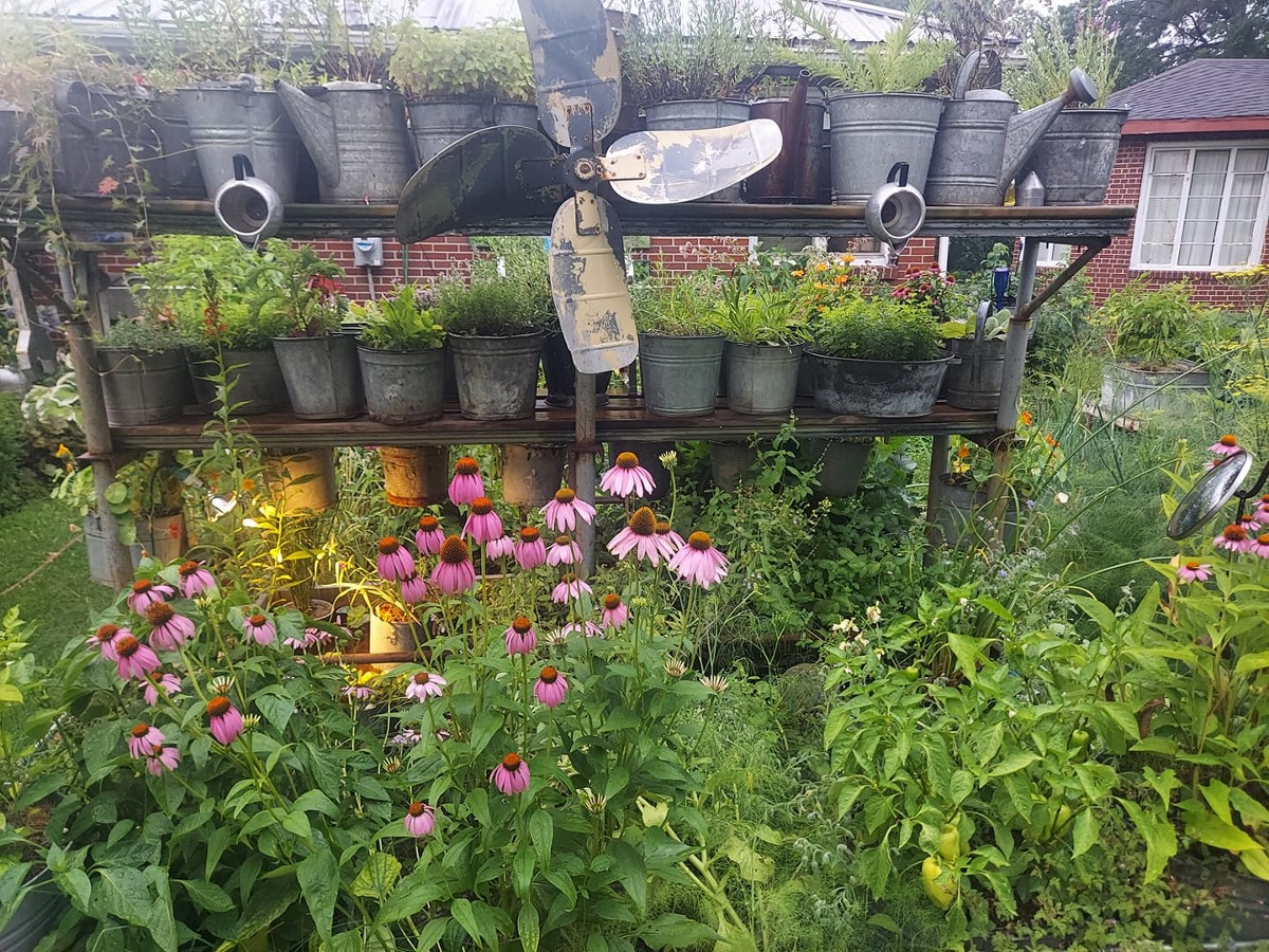 vertical herb garden with assorted galvanized containers