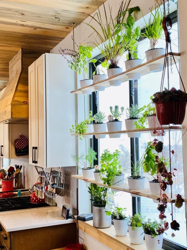 indoor hanging herb garden