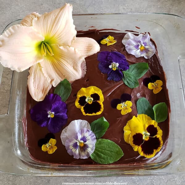 chocolate cake decorated with edible flowers