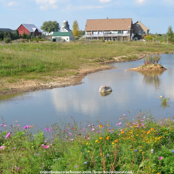 dream homestead with gardens, pond, greenhouse, and chicken coop