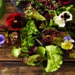 Edible Flowers and How to Use Them