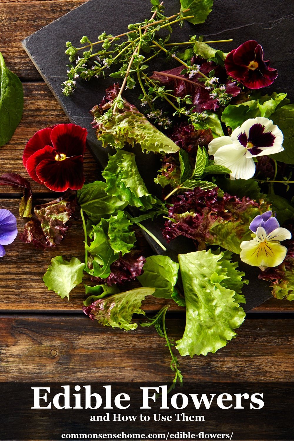 Edible Flowers and How to Use Them