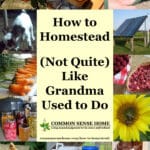text "How to Homestead - (Not Quite) Like Grandma Used to Do" surrounded by homesteading images
