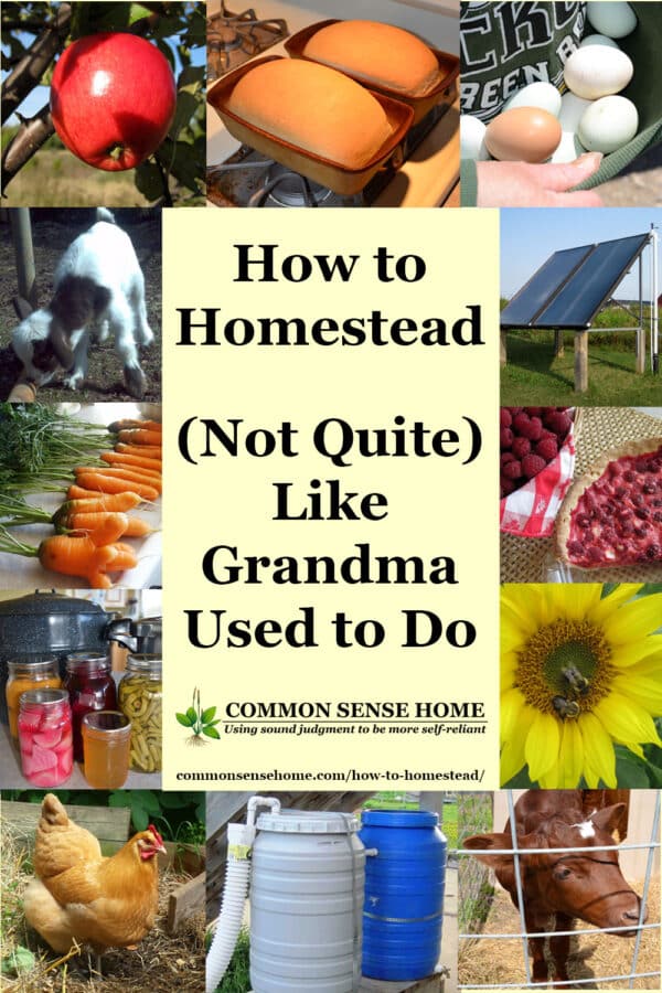 text "How to Homestead - (Not Quite) Like Grandma Used to Do" surrounded by homesteading images