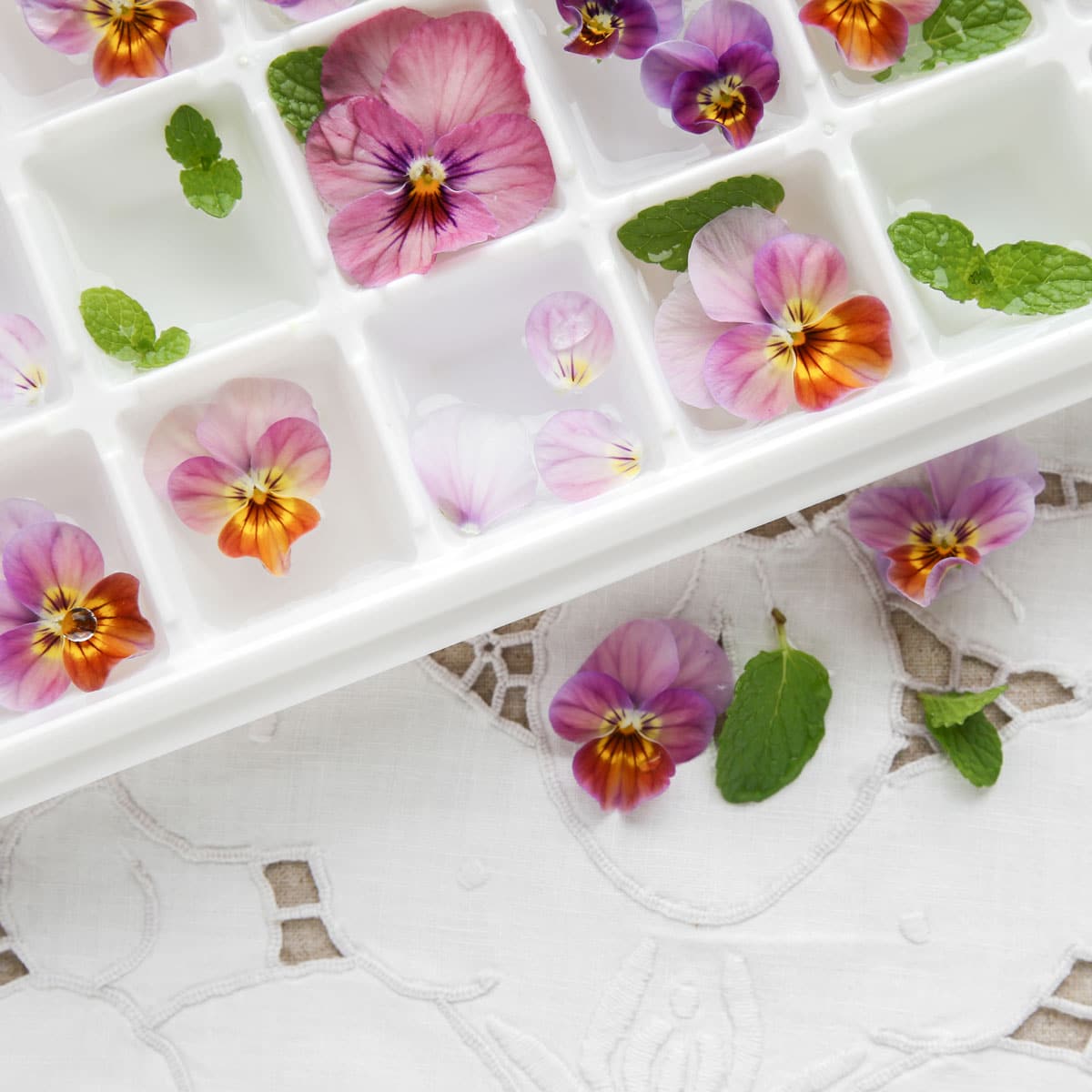 ice cubes with edible flowers