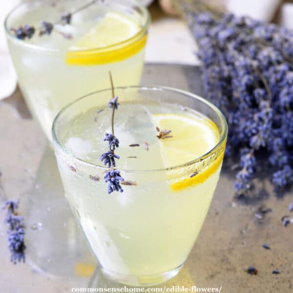 lavender lemonade