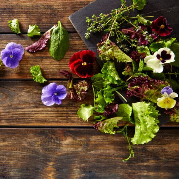 pansies, herb, and lettuce