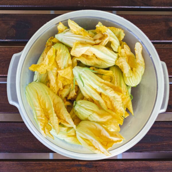 squash blossoms for cooking