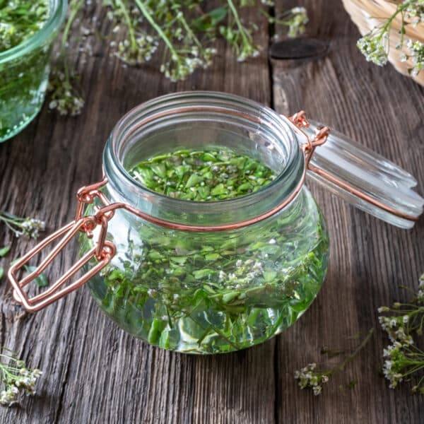 Chinese Shepherds Purse Egg Soup